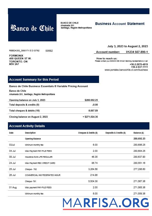 Printable Banco de Chile organization statement Word and PDF template